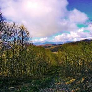 ����: ������ ��� � ����