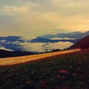 ����: ����� � ���� � ����