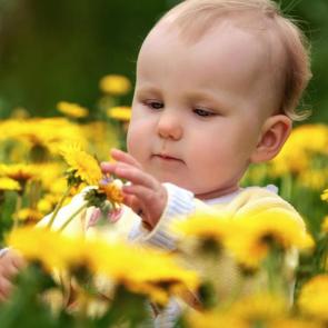 ����: ����� � �����������