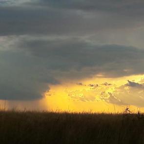 ����: ������� �����