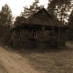 ����: ����������