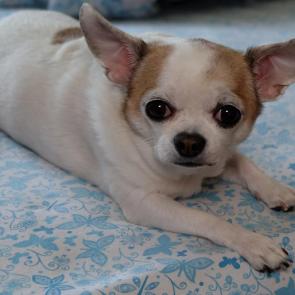 ����: �������� ������