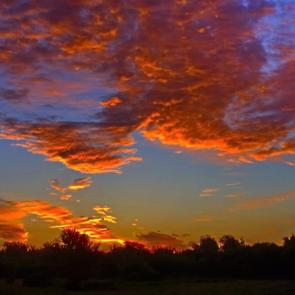 ����: ����������