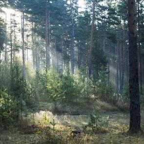 Фото: Привет с востока