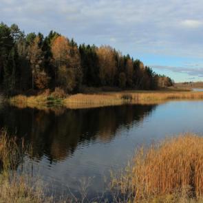 ����: ���������