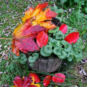 ����: ������ ������