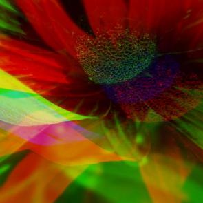 ����: ������ ������