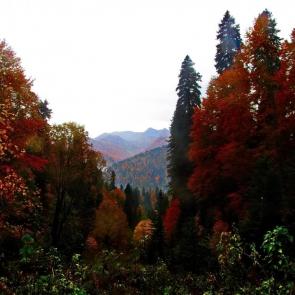 ����: ��� ������ � ����