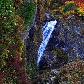 ����: ������� ��� � ���������