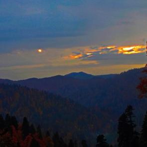 ����: ������� �����