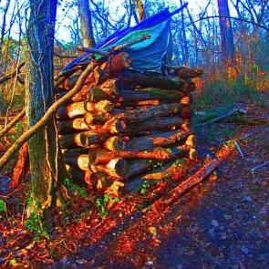 ����: ������� �����