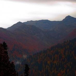 ����: ����� � ������