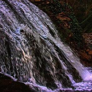 ����: ������ �� �������