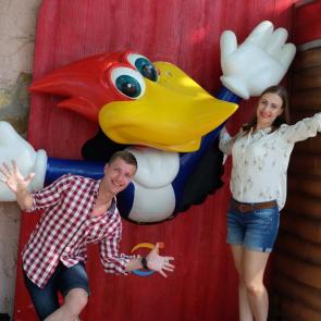 ����: ��������