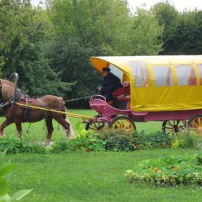 ����: ��������� �������