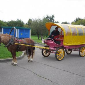 ����: ��������� �������