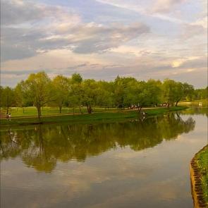 ����: ���������