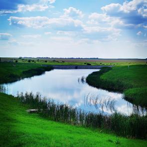 ����: �� �������� ����