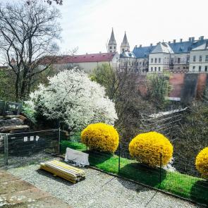 ����: �����