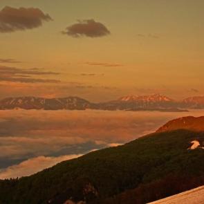 ����: �������� ������