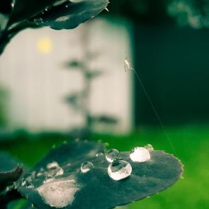 ����: ����� ����