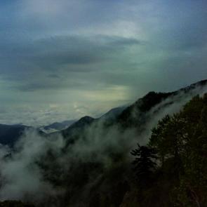 ����: ������ ����� ����