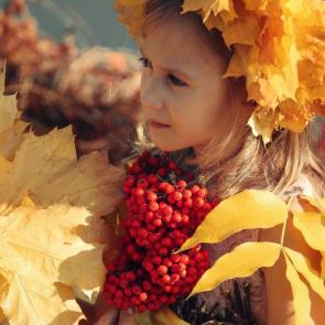 ����: ���������� �����