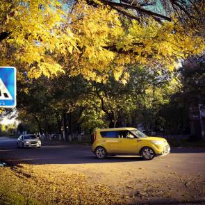 Фото: Золотая осень