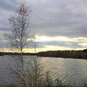 ����: ��������