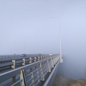 Фото: Утро туманное