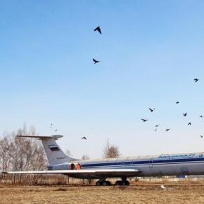 ����: �� �������