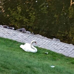 ����: ����� ������ �� �����