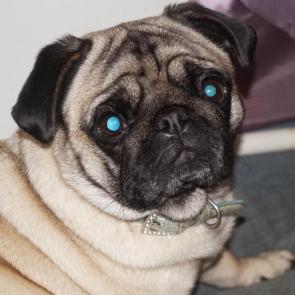 ����: ����� ����� 