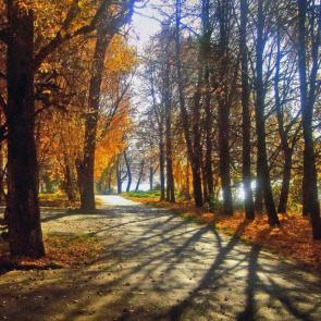 ����: � ������� �����