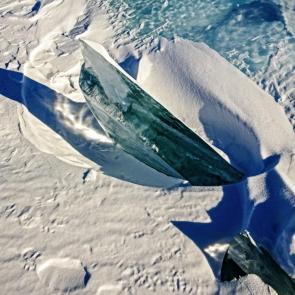 ����: ������