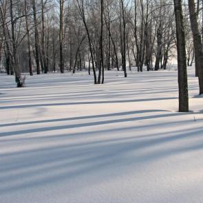 ����: ��������� ������