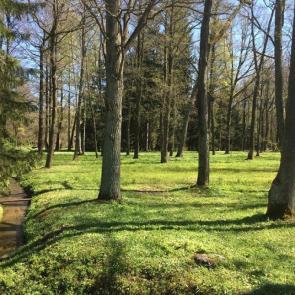 ����: �������� ����