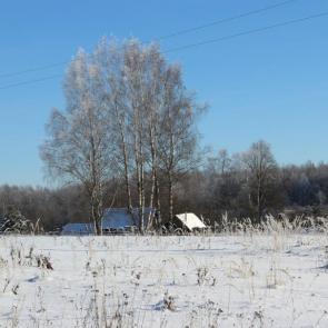 ����: �� ����