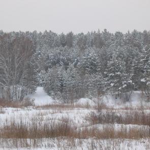 ����: �� ������