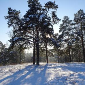 ����: ���������� ��� � ������������