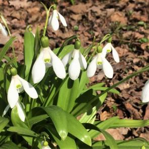 ����: �����������