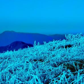 ����: ������� ����