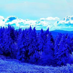 ����: ��������� ������� � �����