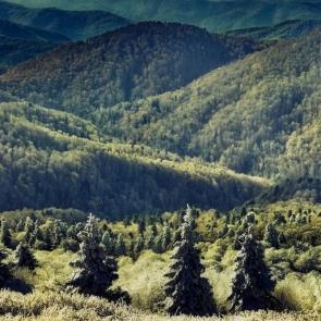 ����: ����� ���� �������� ������