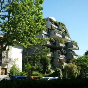 ����: ������ 3