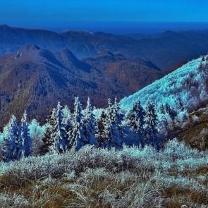 ����: ���� �� ������ �� ��������