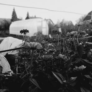 ����: ��������� �����