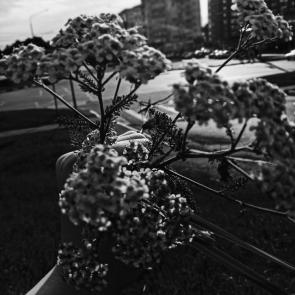 ����: ����� � �����