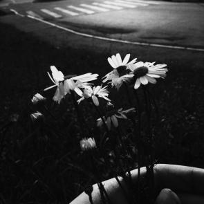 ����: �������