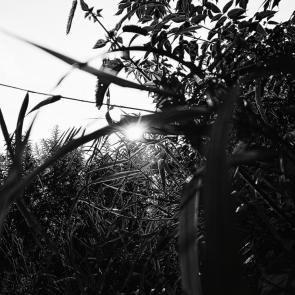 ����: ������ � �������